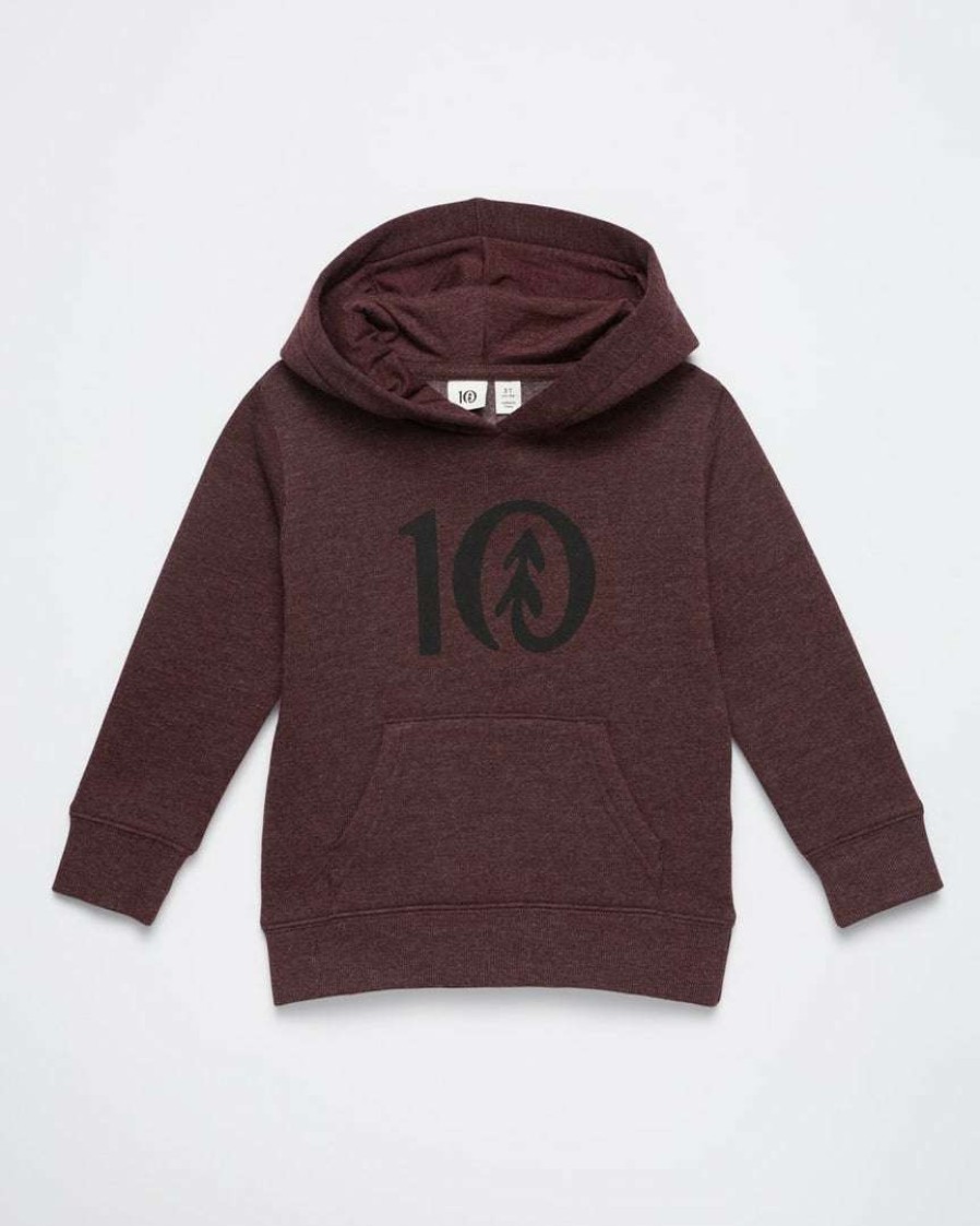 Kids * Tentree Kids Ten Hoodie