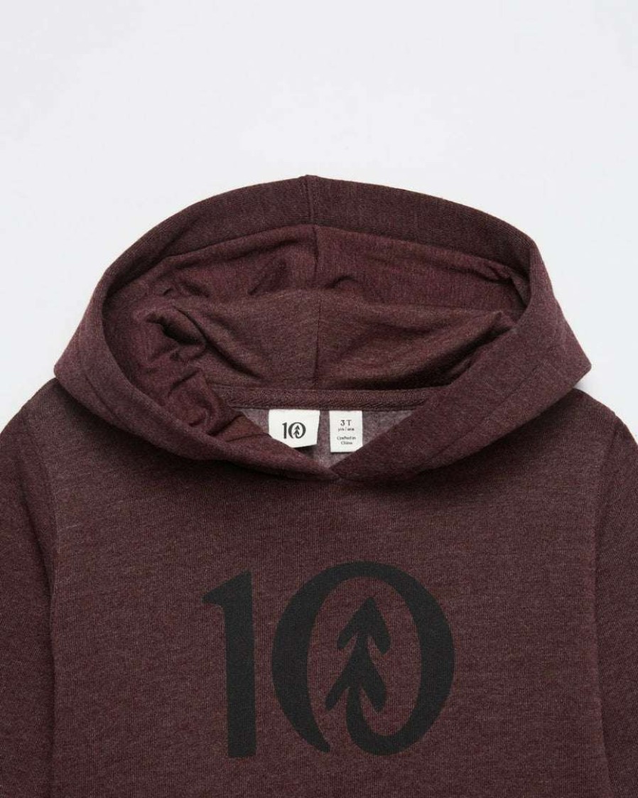 Kids * Tentree Kids Ten Hoodie