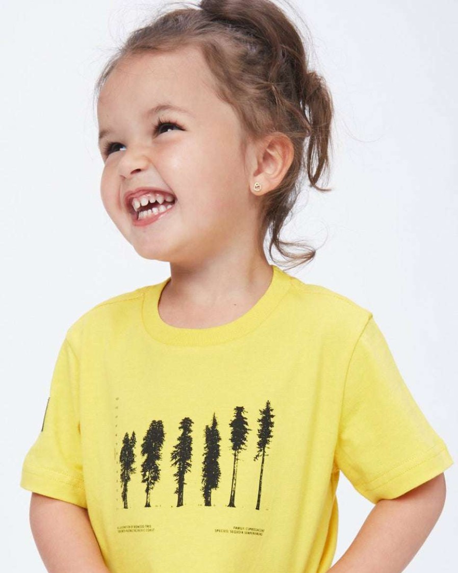 Women * Tentree Kids National Geographic Redwood T-Shirt Super Lemon