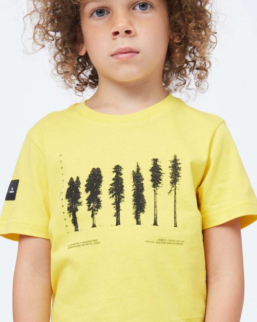 Women * Tentree Kids National Geographic Redwood T-Shirt Super Lemon