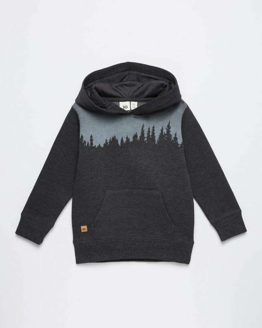 Kids * Tentree Kids Juniper Hoodie