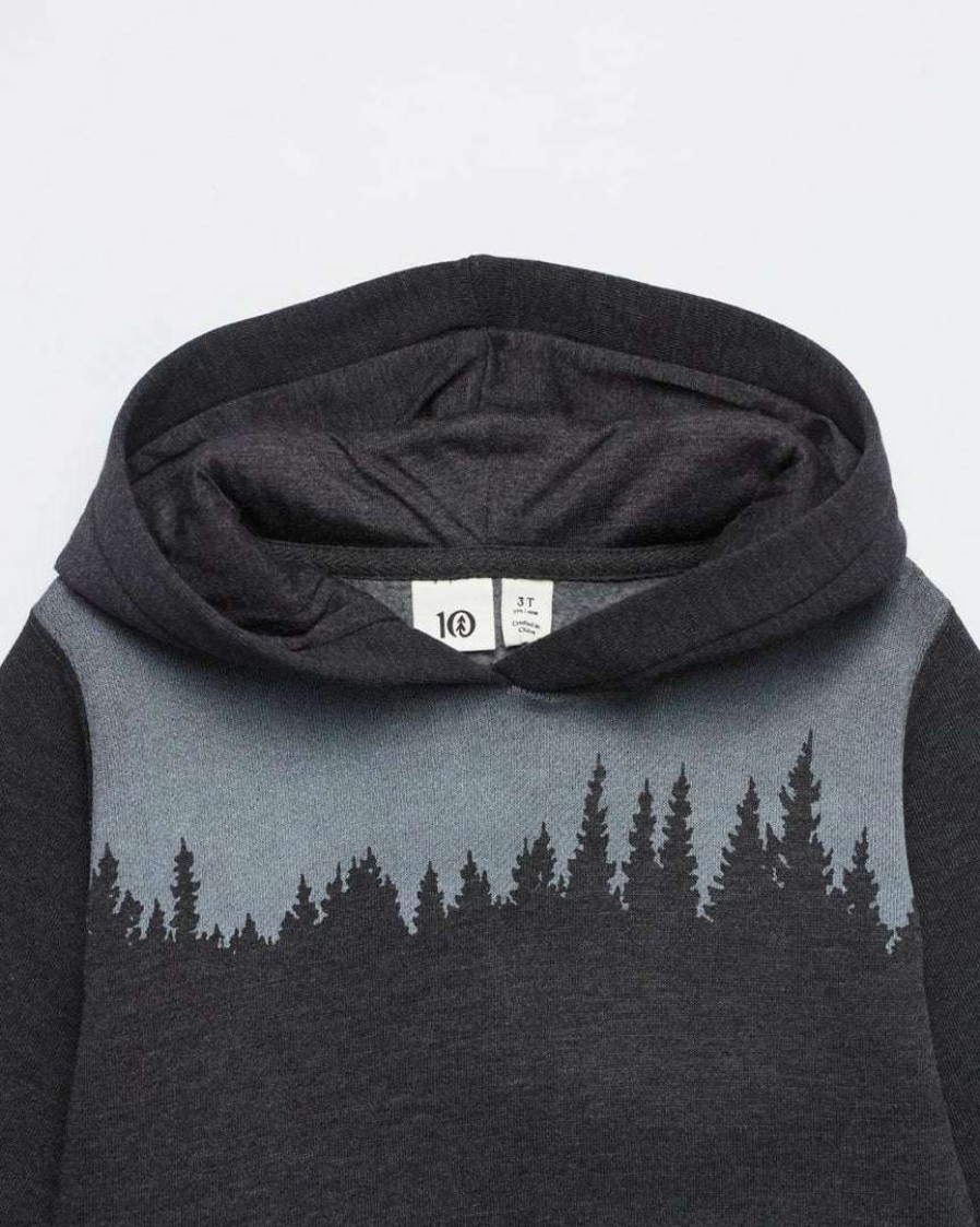 Kids * Tentree Kids Juniper Hoodie