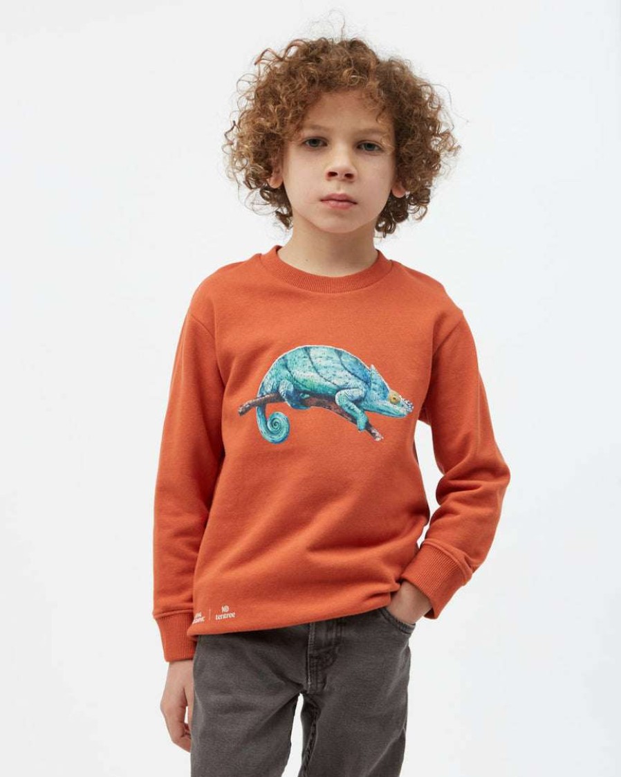 Women * Tentree Kids National Geographic Chameleon Crew Neck