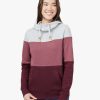 Women * Tentree Blocked Banshee Hoodie Women